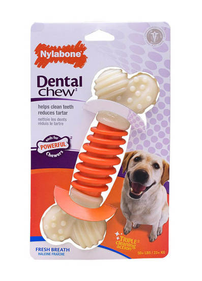 Picture of Nylabone Pro Action Dental - Large