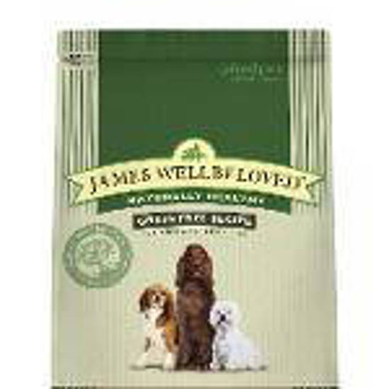 Picture of James Wellbeloved Turkey and Vegetable Kibble G/F Adult Dog 1.5kg