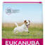 Picture of Eukanuba Active Adult Small Breed Chicken - 12kg