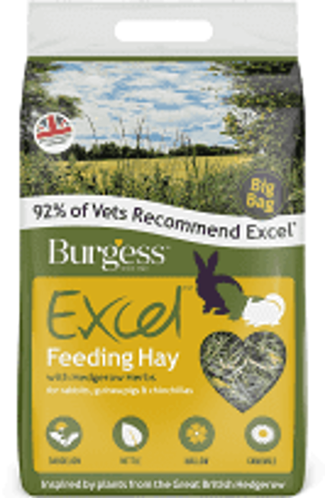 Picture of Burgess Excel Feeding Hay - 3kg