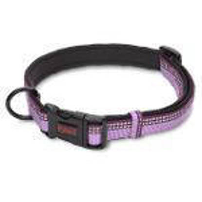 Picture of Halti Collar Purple - Small